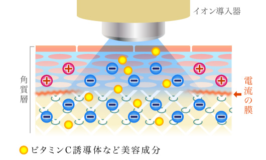 ビタミンC誘導体など美容成分イオン導入器⬅電流の膜角質層